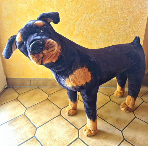 Großer trainingshund - großer,