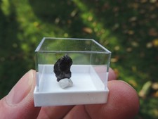 Meteorit - Sikhote Alin aus Russland
