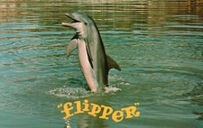 Vintage Postcard Flipper