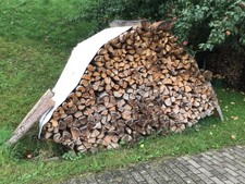 Brennholz  Fichte  ca. 4 Ster 1m lang