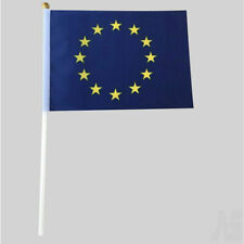 EUROPEAN UNION FLAG Hand