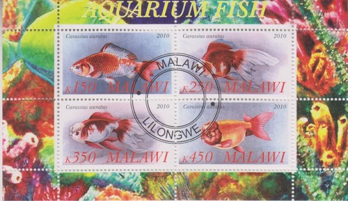 Fische malawi gestempelt - fische,