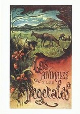 Animales Y Los Vegetales, Los von Fatas Y Bailo, Jose | Buch | Zustand gut