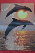 Poster Delphin Delfin Strand und Meer
