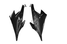 Carbon Seitenverkleidung für