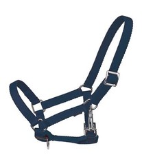 Busse Young Fohlenhalfter