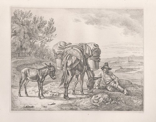 Eseltreiber der tiber esel - an,