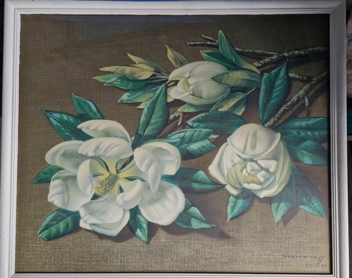 Tretchikoff magnolien - tretchikoff,