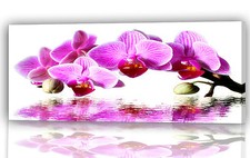 Bild Foto Motiv auf echter