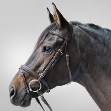 Waldhausen Braun/Braun Cob