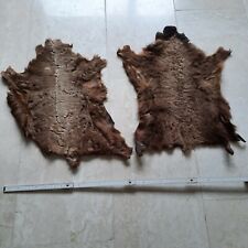2x Hasenfell ca. 50 x 30 cm Kaninchenfell Fell Hase Mittelalter Larp