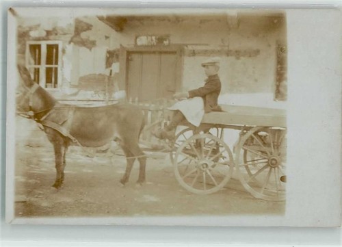 Tiergespann bauernwagen esel - tiergespann,