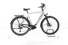 FALTER E 9.8 Trekking E-Bike