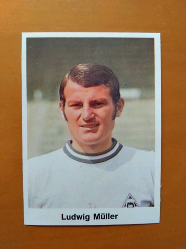 Ludwig müller - ludwig,