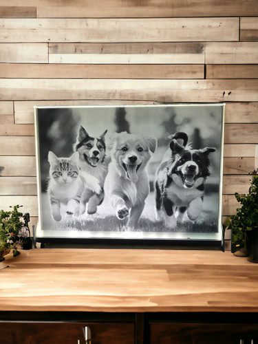 Glasfoto 225x165mm glas - 225x165mm,