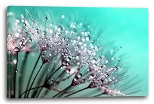 Wandbild pusteblume mit - pusteblume,