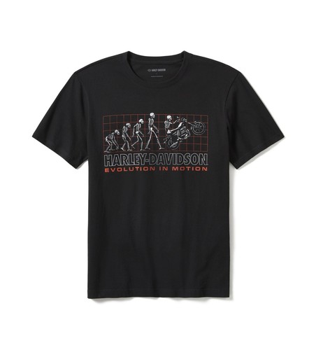 Harley davidson evolution - harley-davidson,