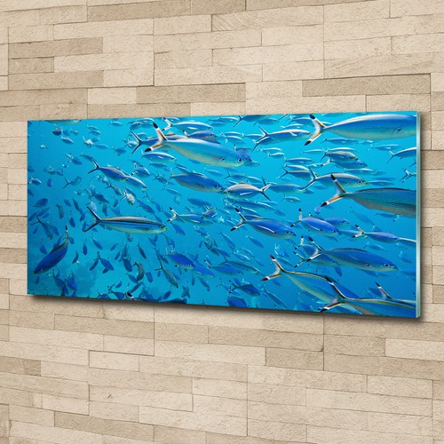 Acrylglas bild wandbilder - acrylglas-bild,