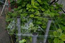 Haube Deckel Cover 52x43x8 cm  Plattenspieler Turntables Transrotor sme dual