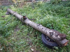 Kirsche Holz Kirschholz Stamm basteln Deko drechseln Holz 4 m lang 