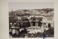 org . Albumin Foto Sommer