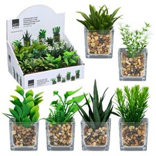 12 x Kunstpflanzen im Glastopf Sukkulenten künstliche Zimmerpflanze Kunstblumen 