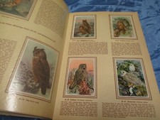Sammelbilderalbum , Bunte