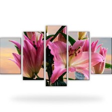 Lilien Pflanzen Blume Natur