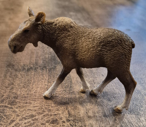 Schleich elch kuh 14620 - kuh,