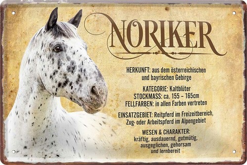 Blechschild 20x30 noriker - 20x30,
