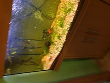 Aquael Set 120 Aquarium