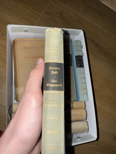 Der steppenwolf - 📕,