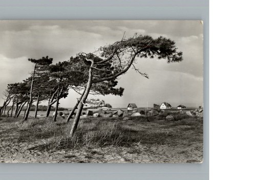 Neuendorf hiddensee - neuendorf,