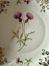 Porzellan Teller Motiv Distel