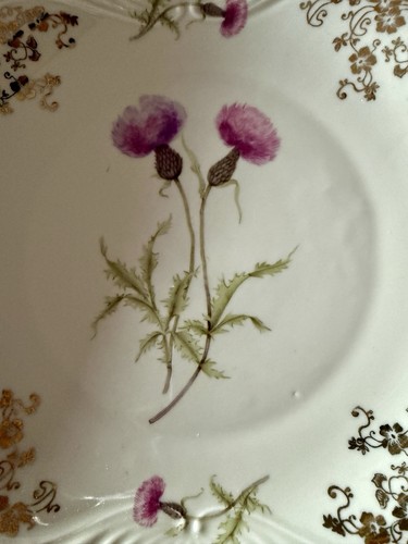Porzellan teller motiv - teller, distel