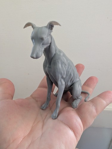 Windhund lurcher whippet - windhund,