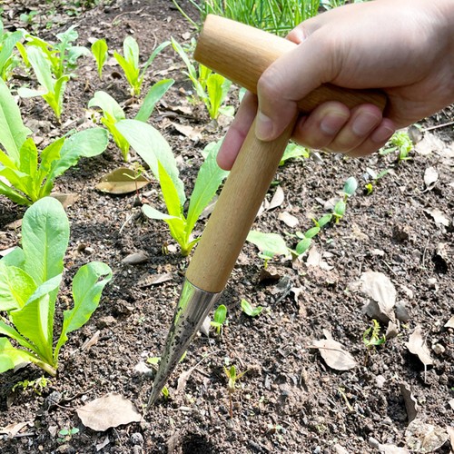 Garten pflanzwerkzeug - garten,