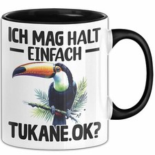 Tukan Regenwald Exotischer