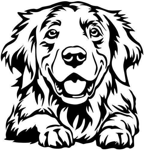 Golden retriever aufkleber - retriever,