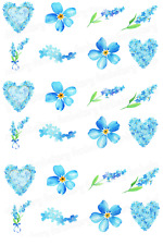 Blumen Vergissmeinnicht essbar