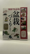 Bonsai making with - bonsai,