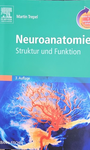 Neuroanatomie