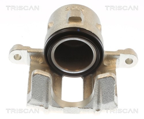 Bremssattel triscan 8175 - bremssattel, 69103