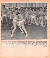 Japan - Sumo Schule mit Ringern beim Ringkampf Training - 1943 ~21x24cm