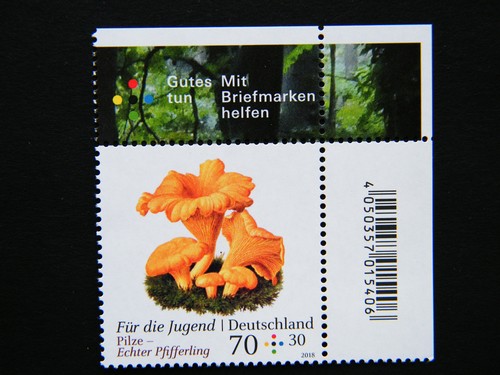 Brd minr 3407 pilze echter - minr,