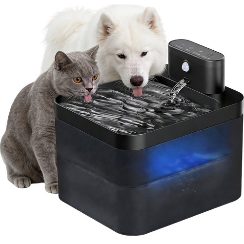 Trinkbrunnen für hunde - für,