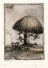 Dieter Portugall, Baumpilz