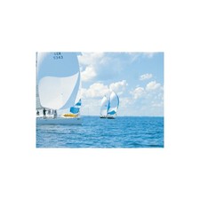 PSP Spinnaker Repair Tape 50mm