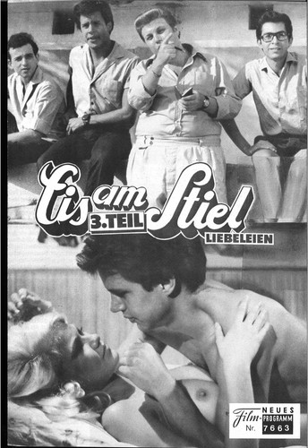 Nfp 7663 eis stiel 3 - eis, am