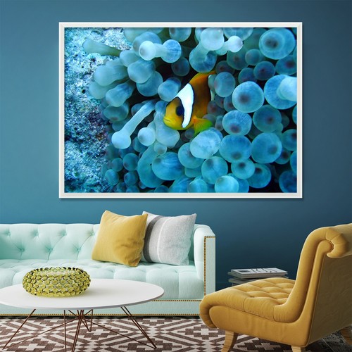 Unterwasser fisch 53 - 3d,